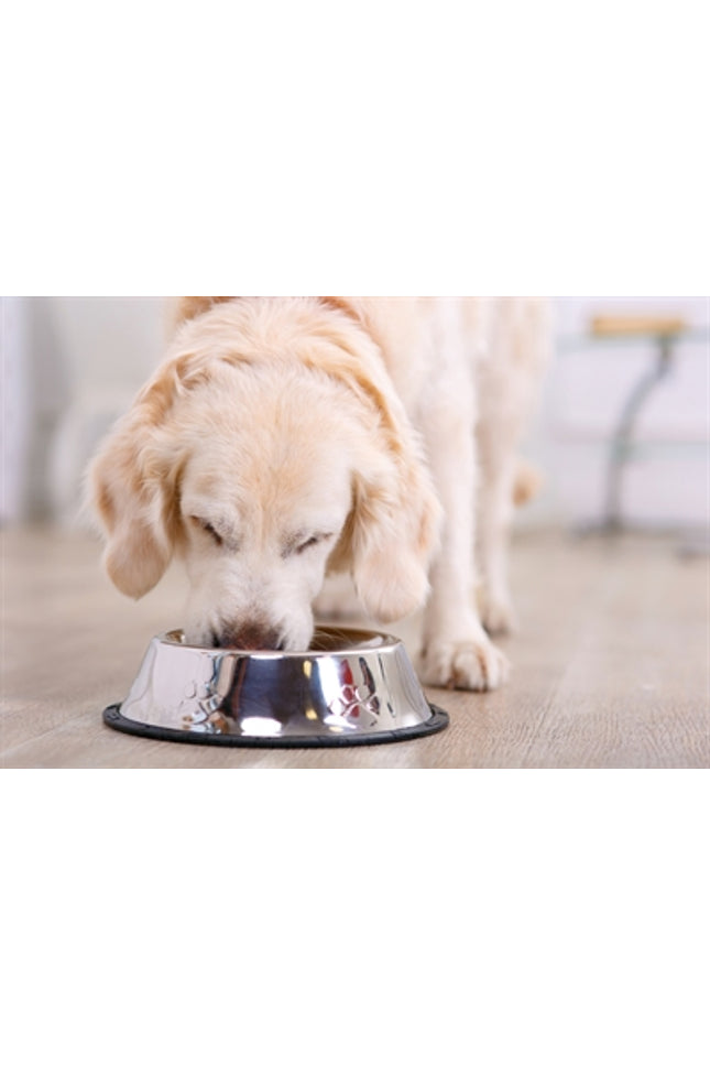 Happy Pet Voerbak Antislip