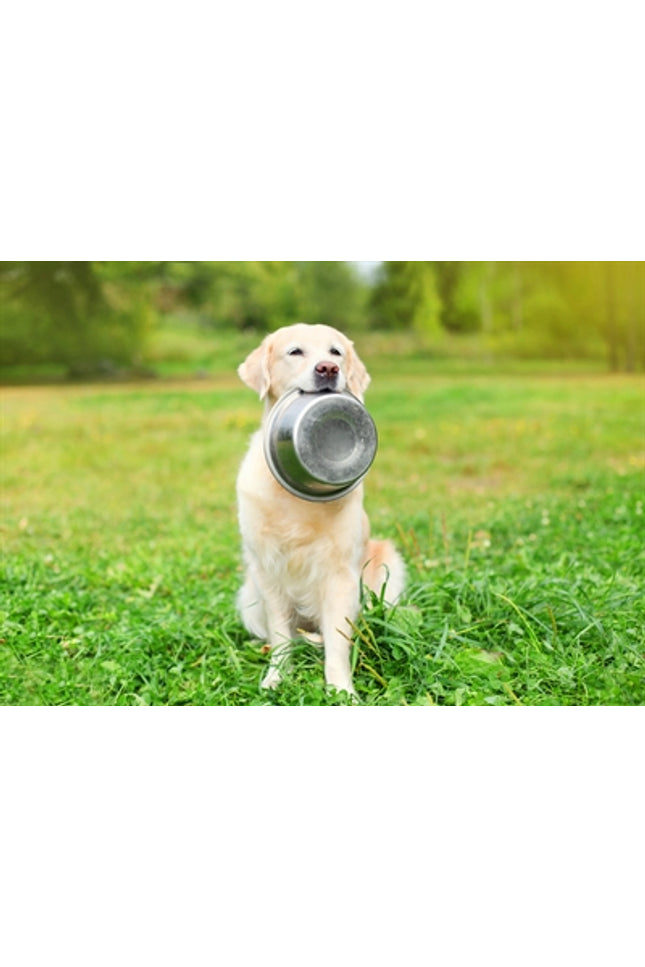 Happy Pet Voerbak Rvs