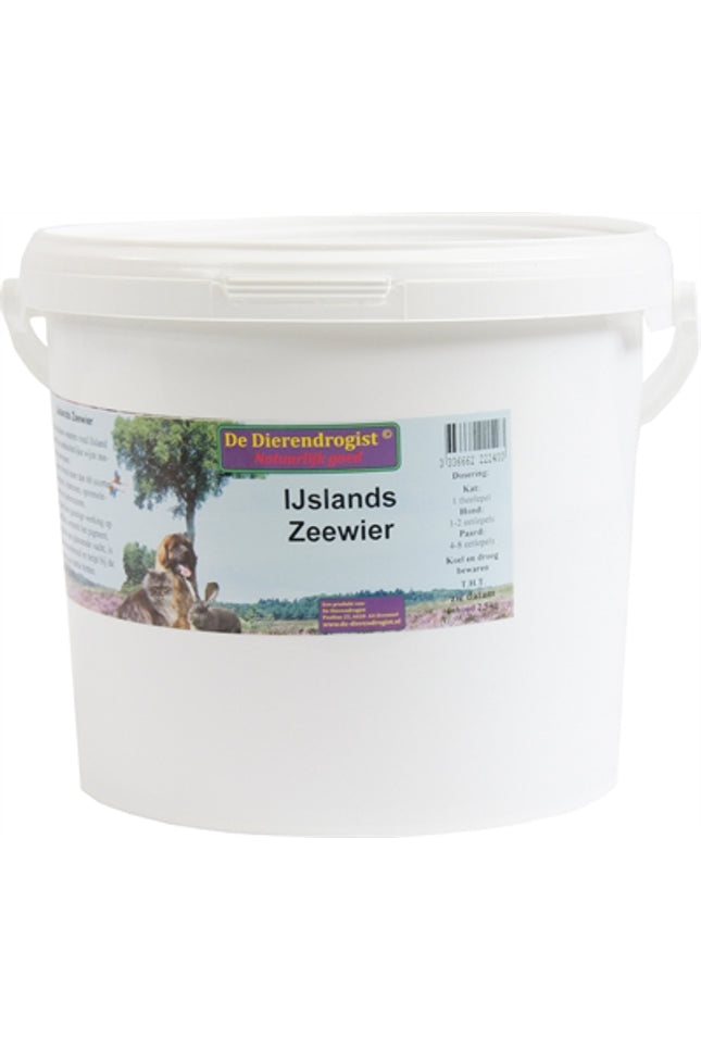 Dierendrogist Ijslands Zeewier