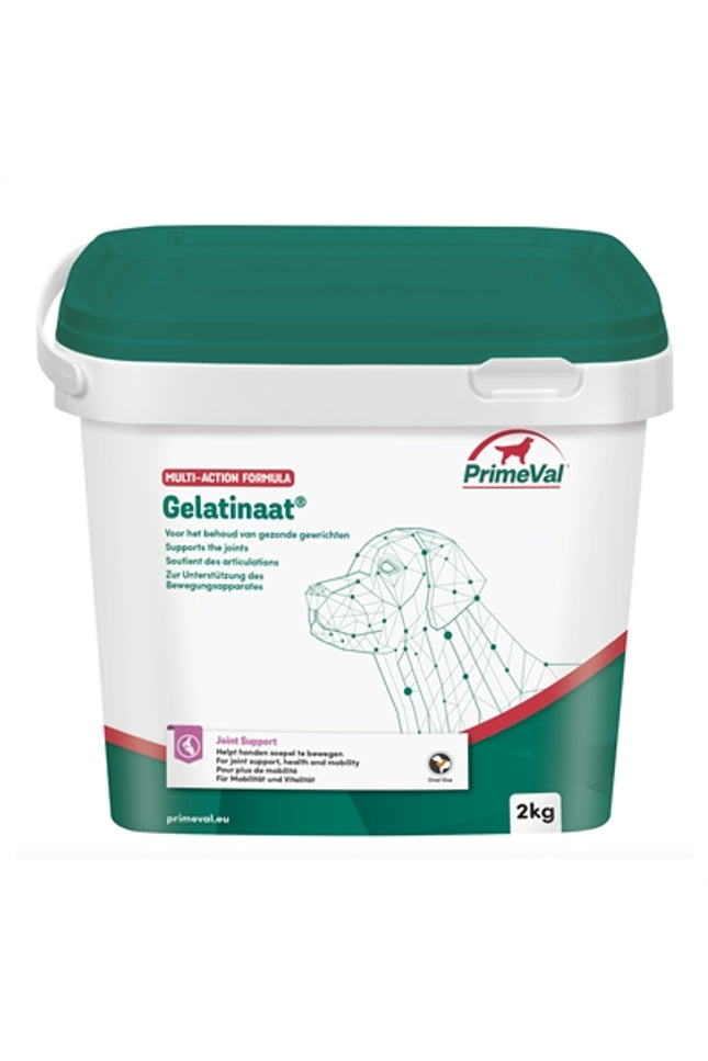 Primeval Gelatinaat Hond