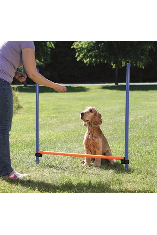 Trixie Dog Activity Agility Horde Blauw / Oranje
