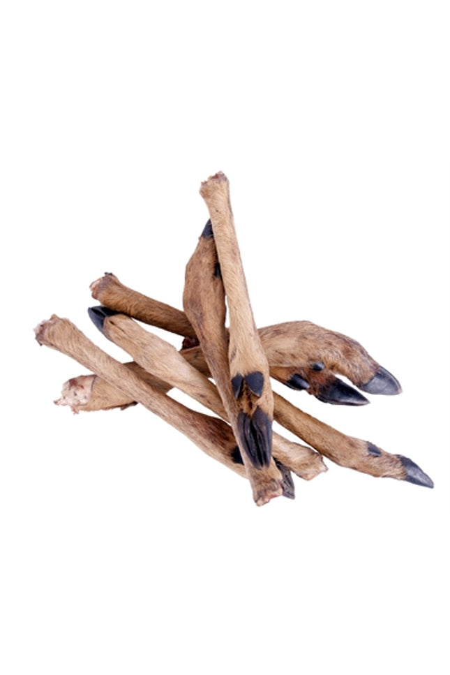 Petsnack Reeenpoot Met Haar