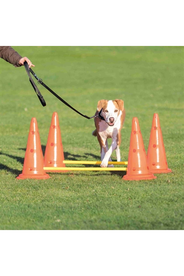 Trixie Dog Activity Hordenset