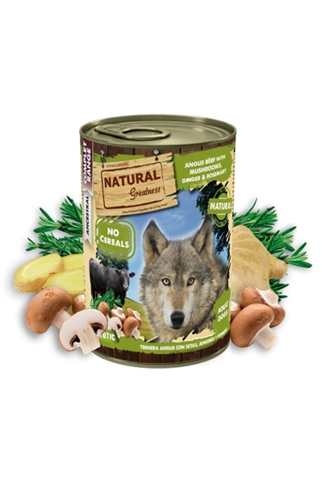 Natural Greatness Angus Beef / Mushrooms / Ginger / Rosemary