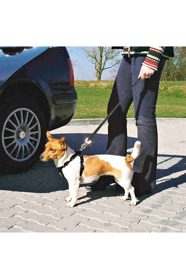 Trixie Hondentuig Auto Inclusief Gordel Zwart