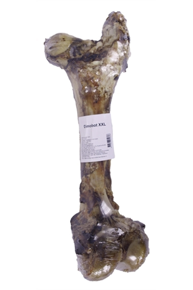 Petsnack Dinobot Xxl