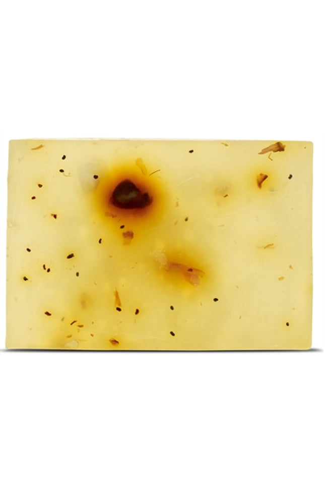 Beloved Vegan Pet Shampoo Bar