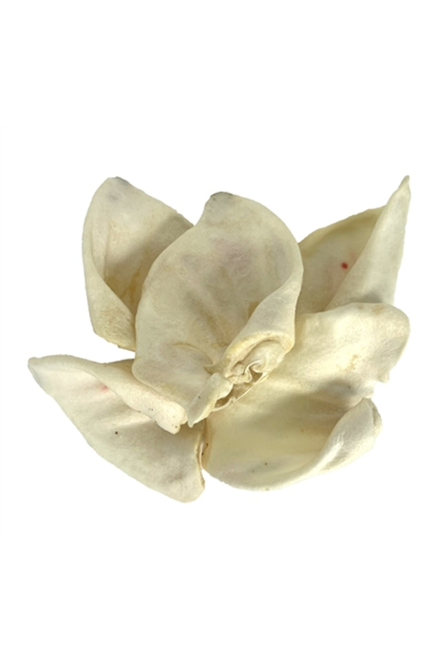 Petsnack Varkensoren Gepoft