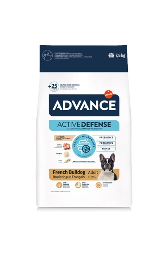 Advance Adult French Bulldog