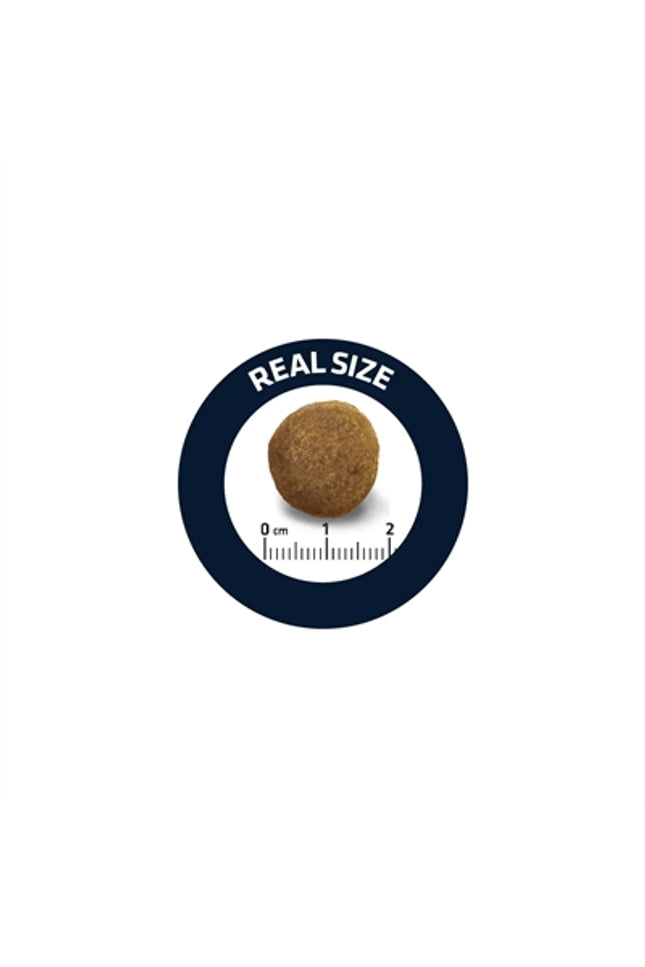 Advance Adult Duitse Herder