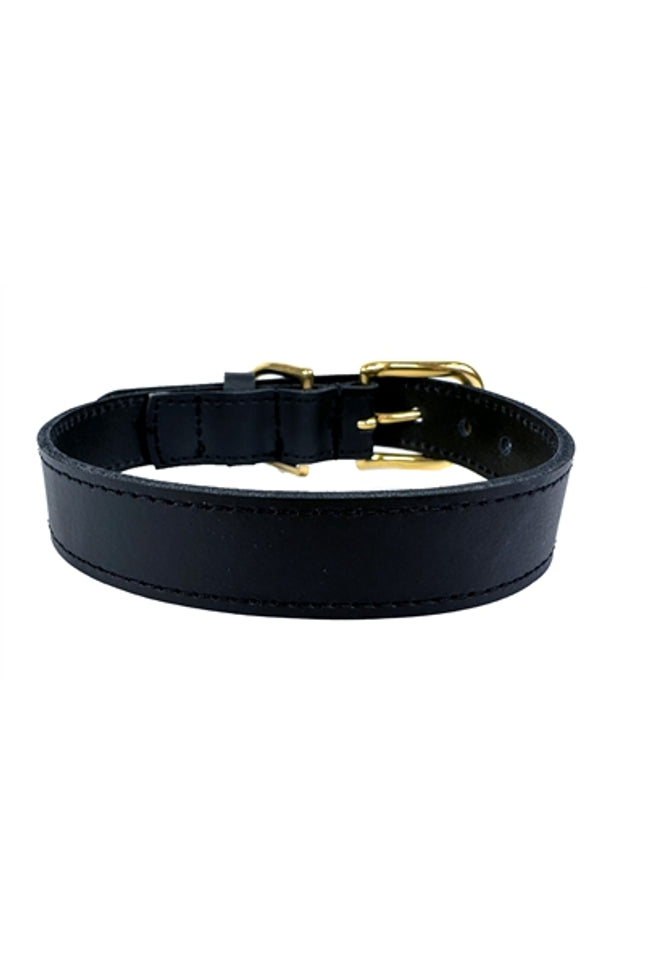 Sazzz Halsband Hond Braveheart Classic Leer Zwart