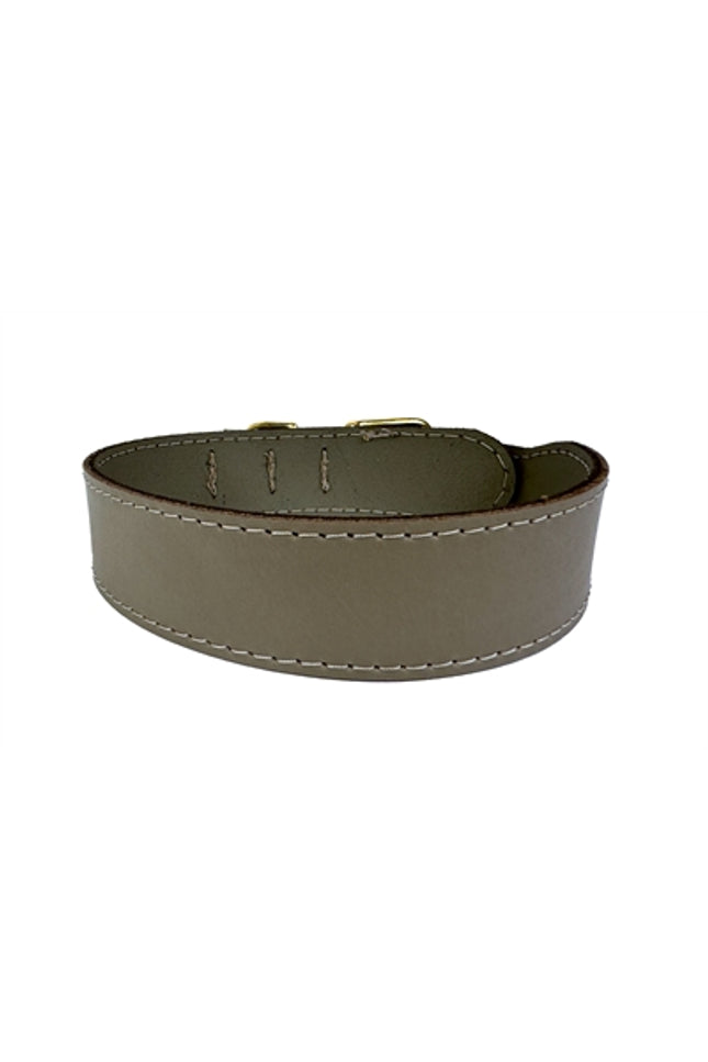 Sazzz Halsband Hond Pioneer Classic Leer Taupe