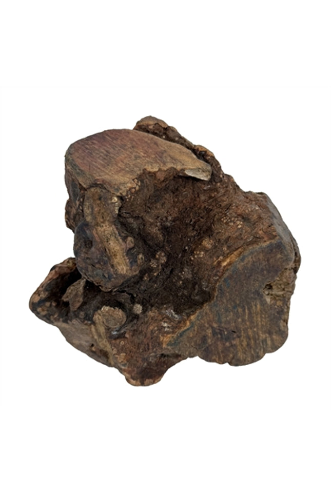 Dog Woodzzz Kauwwortel Met Olijfolie