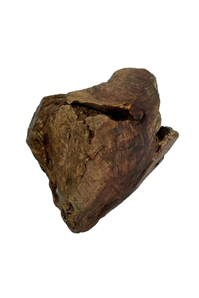 Dog Woodzzz Kauwwortel Met Olijfolie