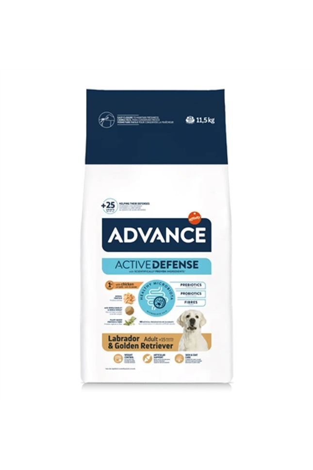 Advance Adult Labrador Retriever