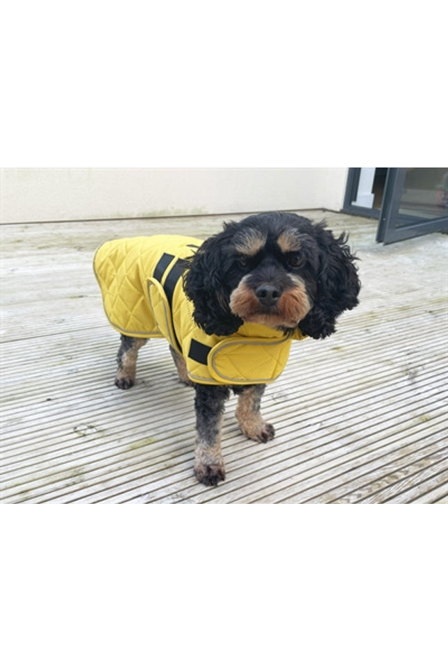 Happy Pet Hondenjas Go Walk Quilted Classic Mosterd