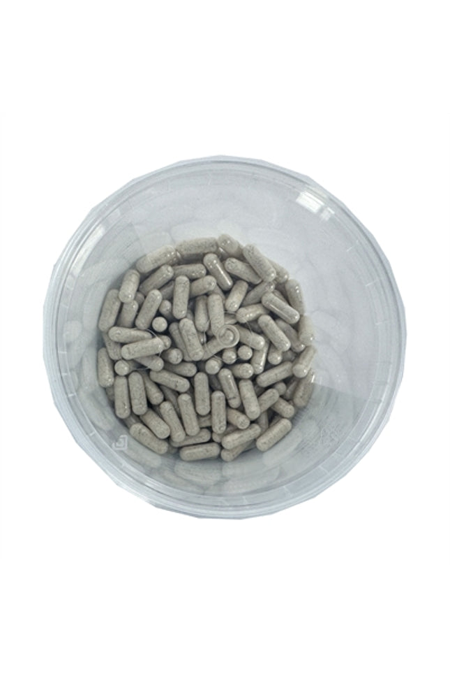 Dierendrogist Darmflora Opbouw / Verbeterend Capsules