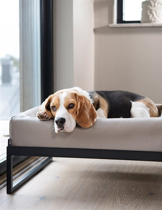 Bia Air Frame Voor Bia Bed Zwart