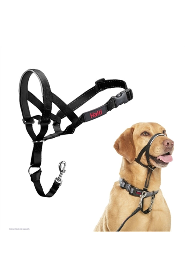 The Company Of Animals Company Of Animals Halti Headcollar Zwart