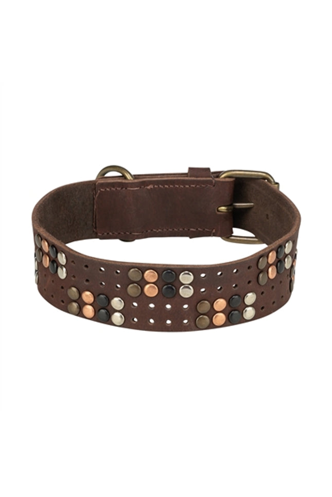 Trixie Halsband Hond Rivet Rustic Vetleer Donkerbruin