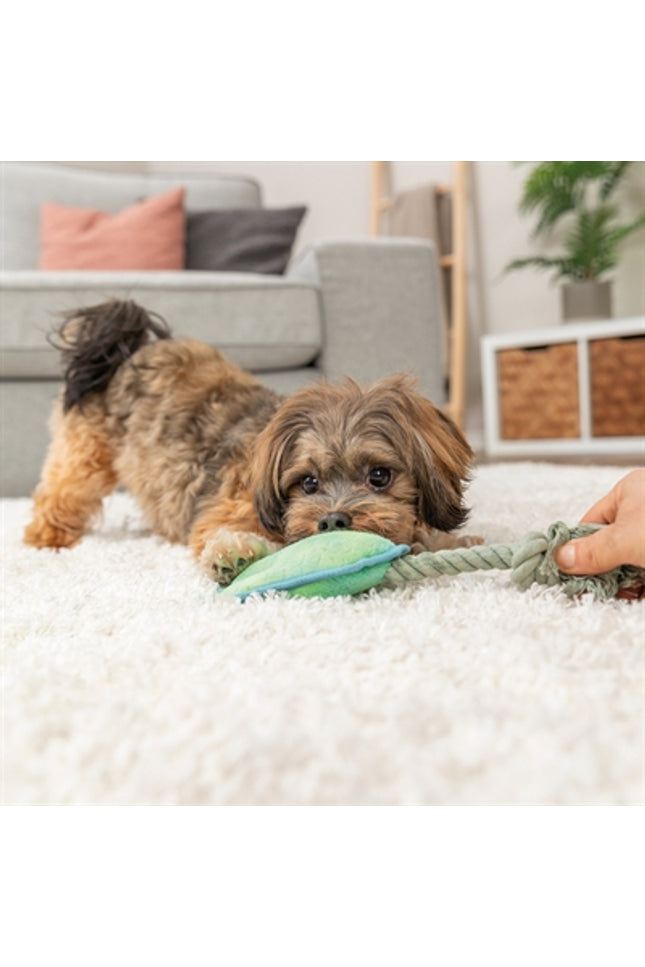Trixie Dierenpoot Met Touw Groen
