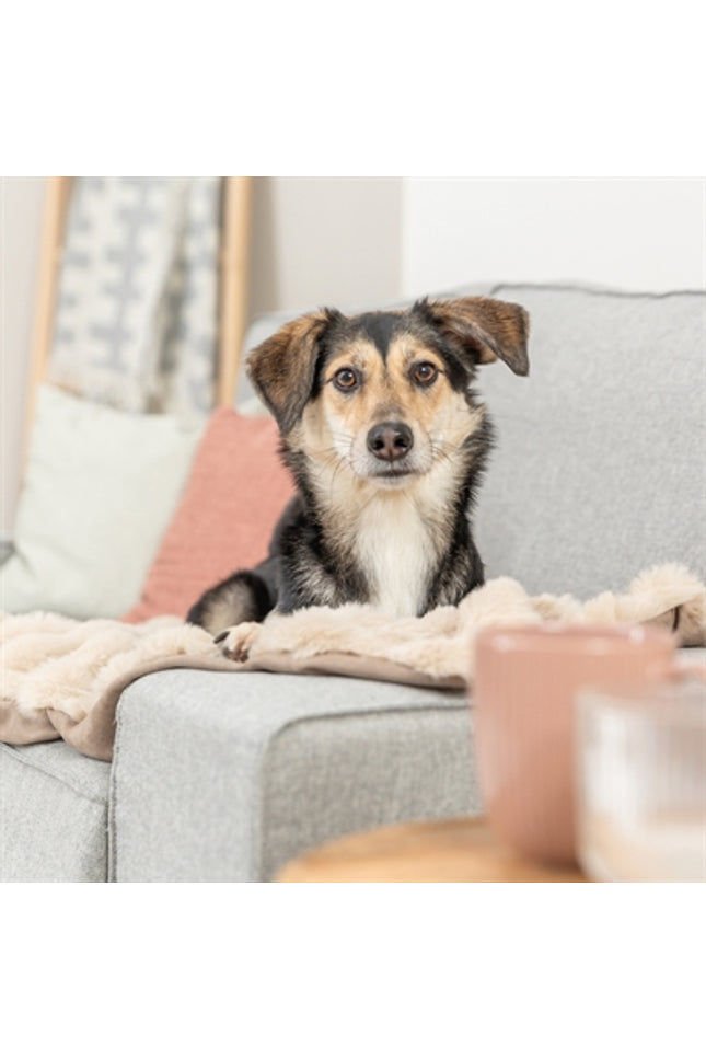 Trixie Hondendeken Elli Zand