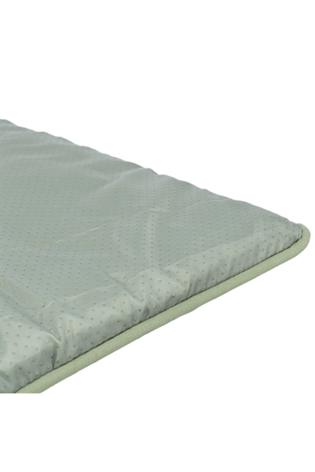 Trixie Ligmat Marley Saliegroen