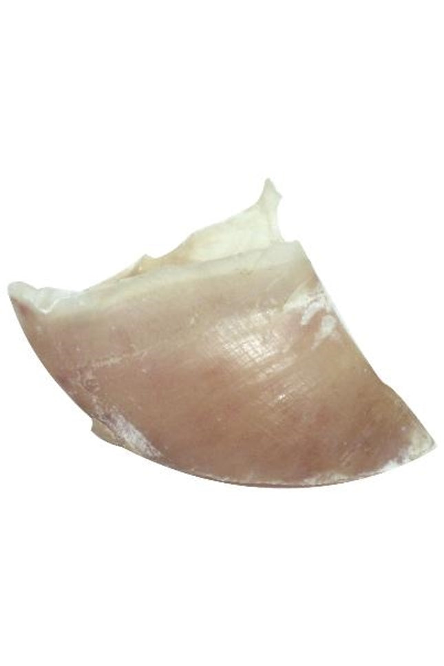 Dogstar Kalfshoeven Groot